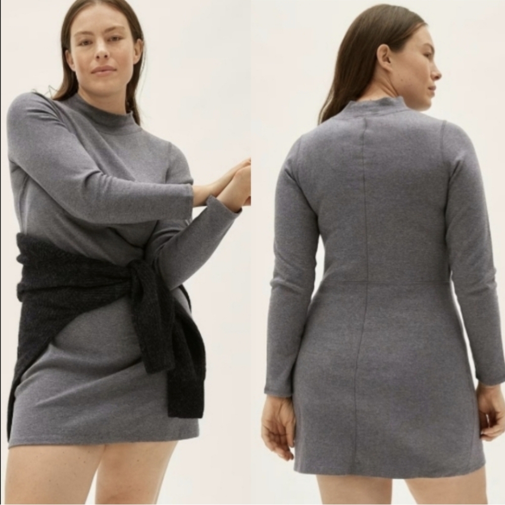 NWT Everlane Grey Mockneck Dress